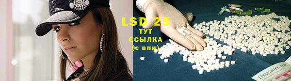 стаф Богородицк