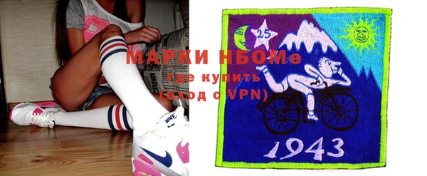 стаф Богородицк